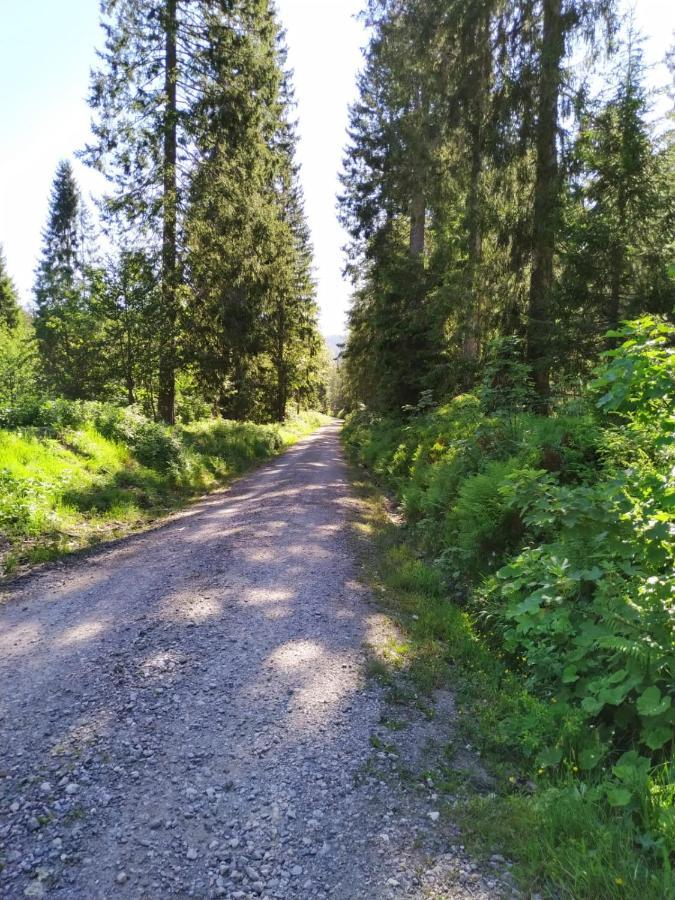 Ferienwohnung Feldberg - Residenz Grafenmatt Exteriör bild