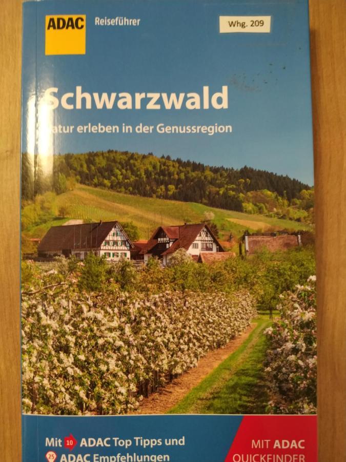 Ferienwohnung Feldberg - Residenz Grafenmatt Exteriör bild