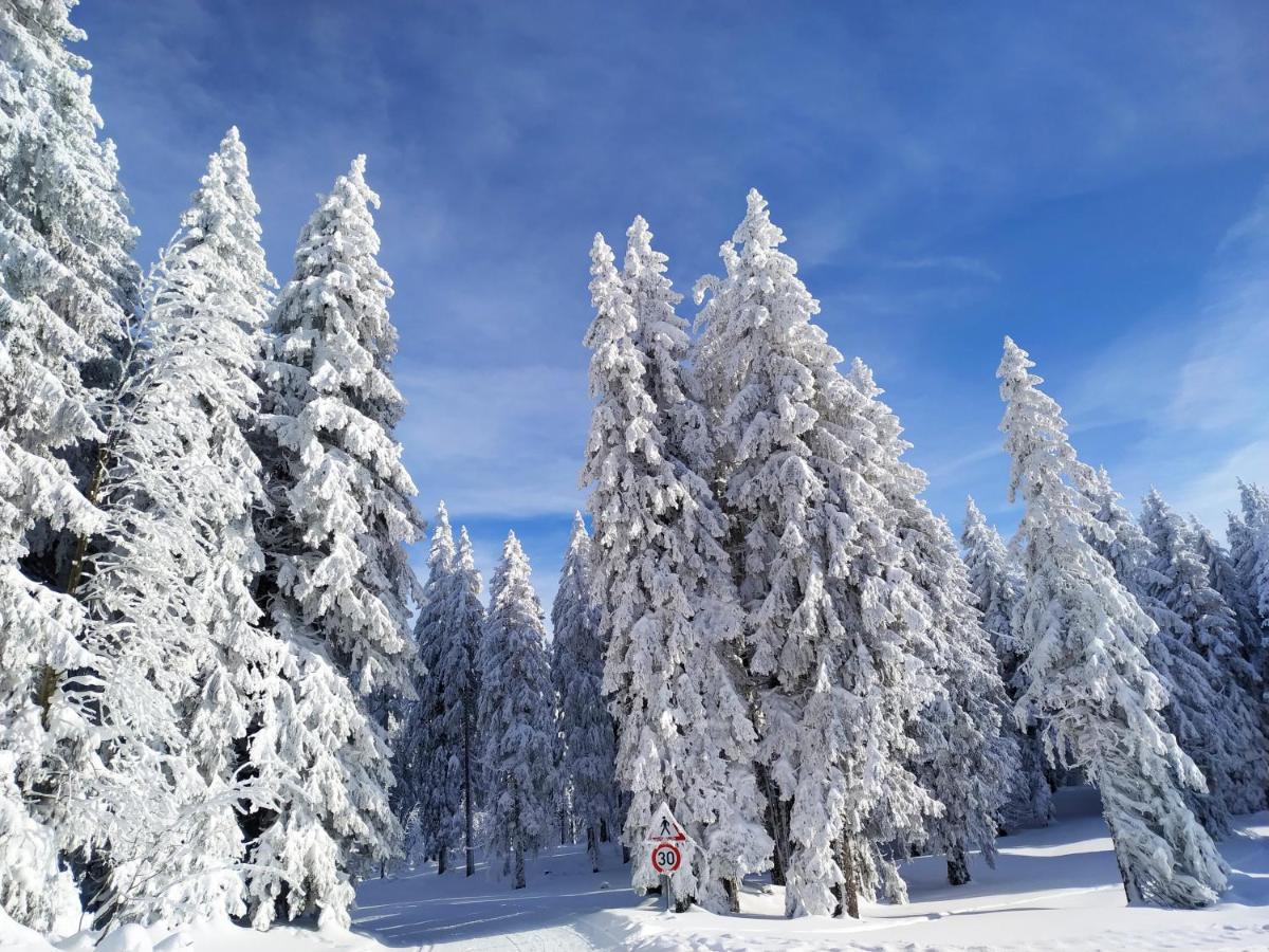 Ferienwohnung Feldberg - Residenz Grafenmatt Exteriör bild