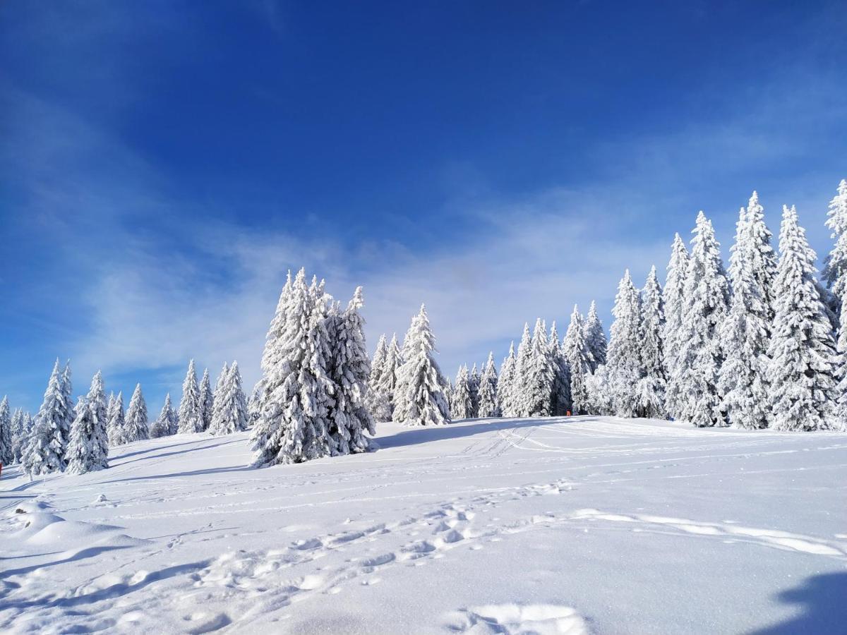 Ferienwohnung Feldberg - Residenz Grafenmatt Exteriör bild