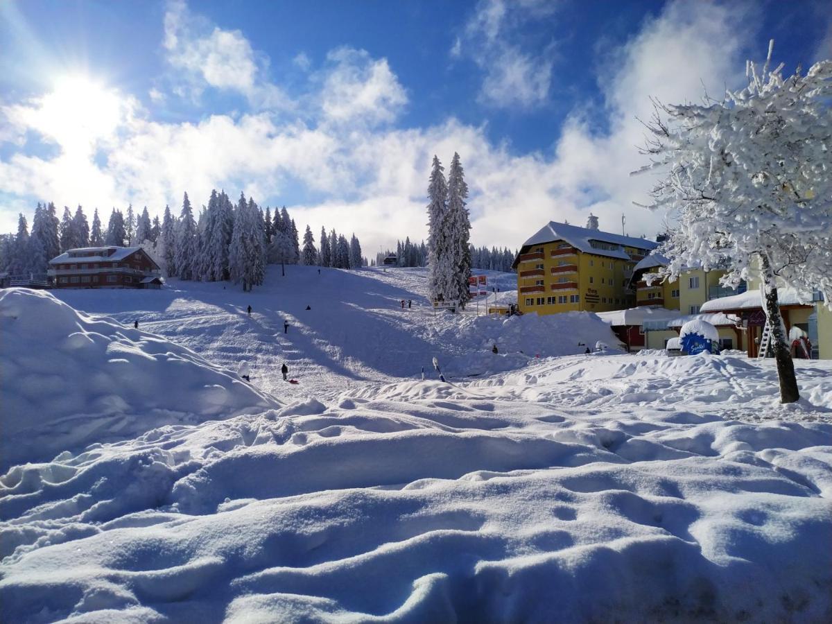 Ferienwohnung Feldberg - Residenz Grafenmatt Exteriör bild